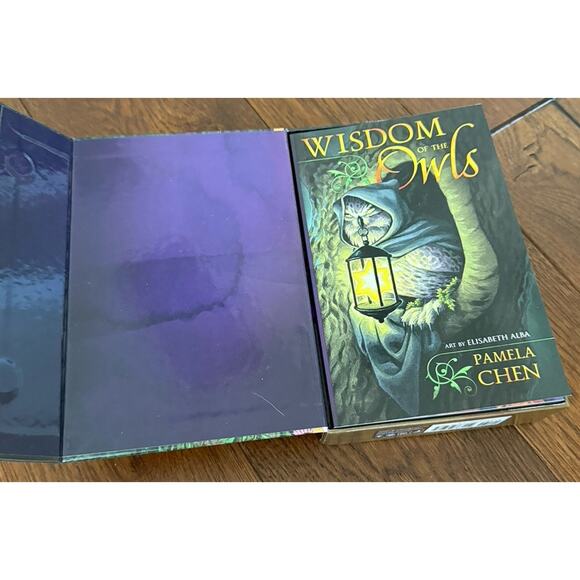 TAROT OF THE OWLS Pamela Chen Elizabeth Alba Boxed Book & Cards Body Mind Spirit - Picture 8 of 11